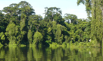 3 Days/2 Nights Tortuguero Package